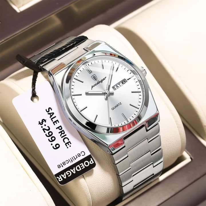 POEDAGAR 930 Men's Luxury Luminous Watch